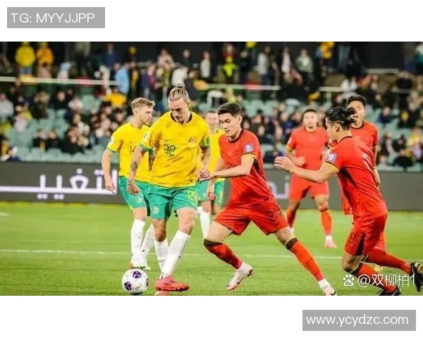 波兰足球战绩回顾与分析展望未来发展潜力与挑战